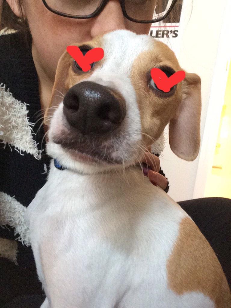 thugollie's tweet photo. @adrbbbb http://t.co/q0dQl40BaE
