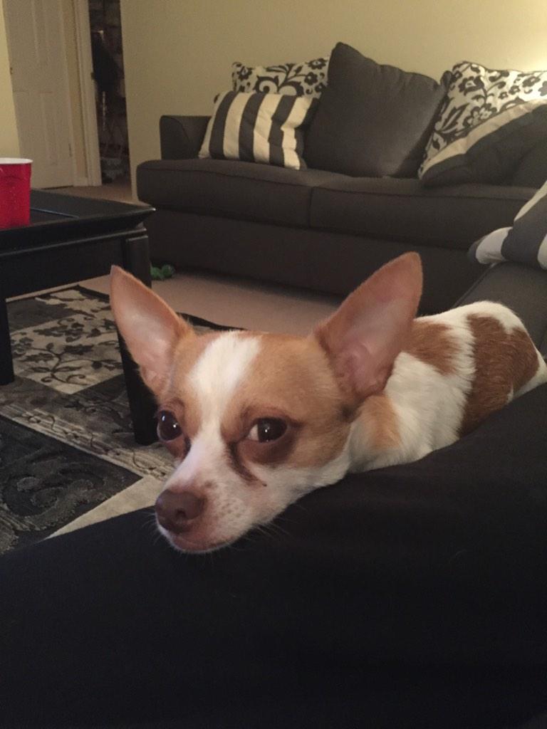 Ric Mruk tweet media