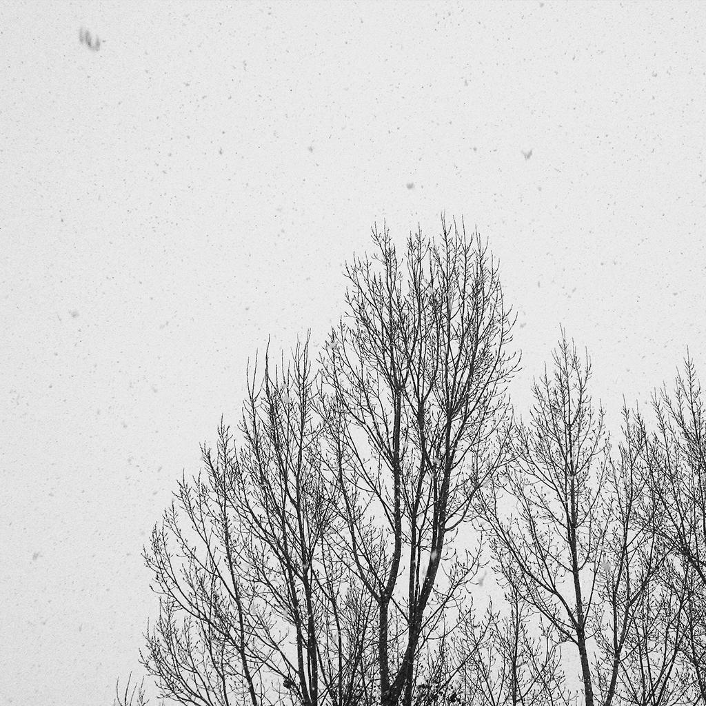 DebAndreasen's tweet image. I'm thankful for this! #mcpphotoaday