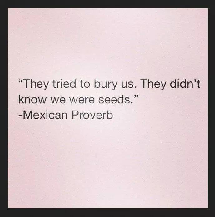 Senator_Baloch's tweet photo. "@FazalB4: #MisssingPersons "They tried to bury us. They didn't know we were seeds". Mexican Proverb  http://t.co/2LFrZtbjda"
