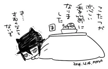 寒すぎて脱線する。我が家にはコタツがありません。なんでかって、そりゃあゴロゴロしてしまうからです。 