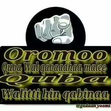 oromiiyaa's tweet photo. http://t.co/dD7gJeByF3