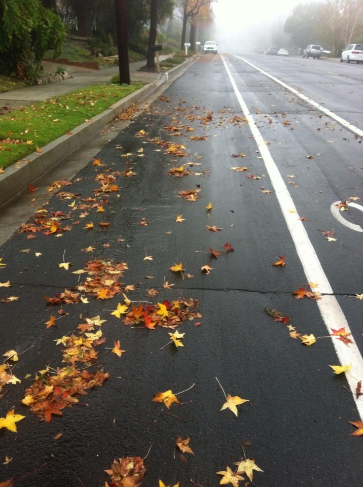 vanakan's tweet photo. Morning walk for inspiration #Beethoven #ForgettingBeethoven @artcenteredu http://t.co/dHEJgWkW2J