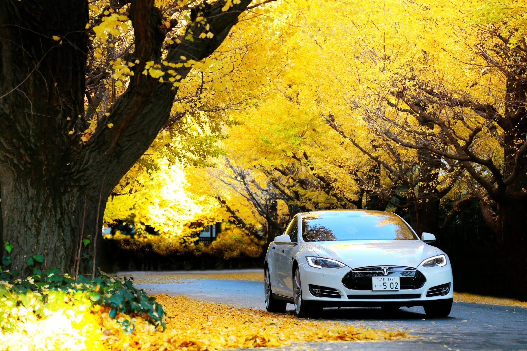 Permalien de l'image intégrée