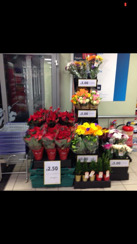 #christmas #flowers @Doyle123mac <a href="/Stevejtait/">Steve Tait</a> <a href="/JB_ChangeCoach/">Jay Biddulph</a>