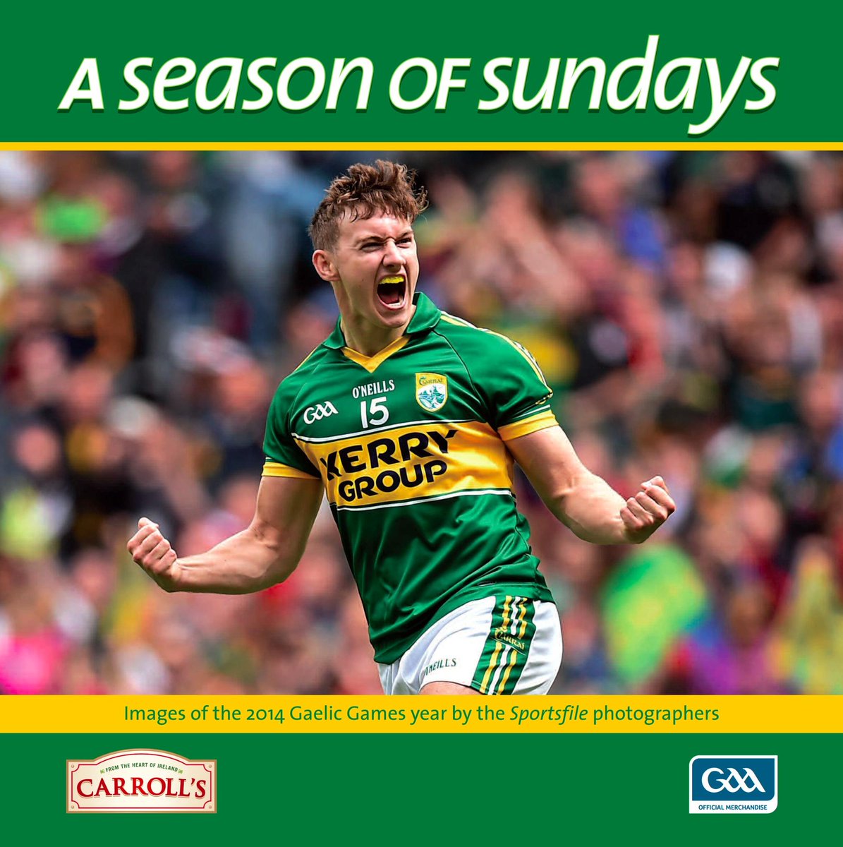 sportsfile's tweet photo. A Season Of Sundays 2014 is available at http://t.co/dNebvbhvlF, a great present this Christmas! #SOS2014 #GAA http://t.co/CLUrB2xhUR