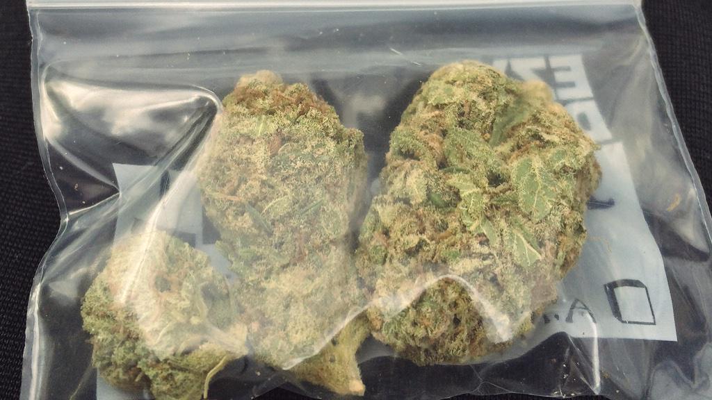 Potographers's tweet image. Dankness! #dank