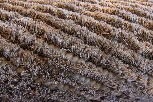 HomeDesign19's tweet image. Carpets