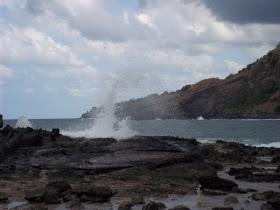 flores_ende tweet picture