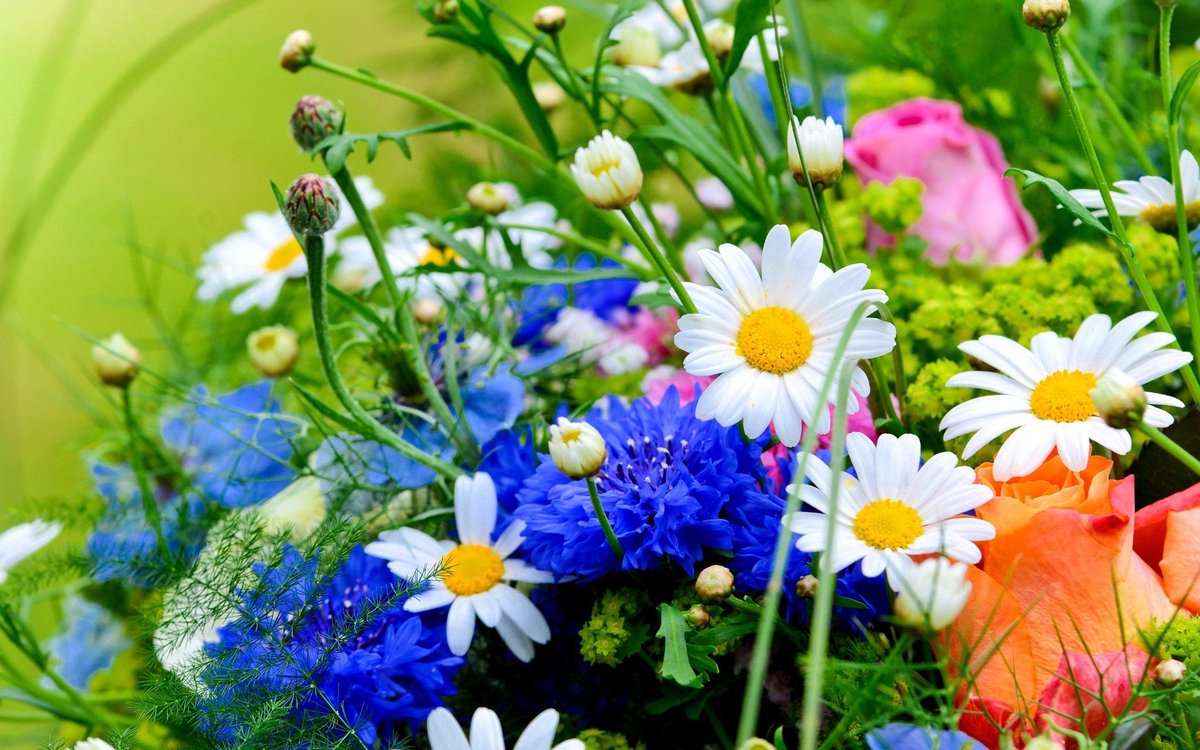 THANKS! Hartelijk dank iedereen: tinyurl.com/pvqrhrd. Jullie hebben van #Torrentius een succes gemaakt. Tot 2015!