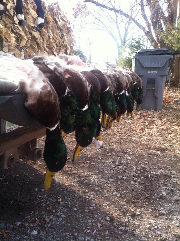TWintholz's tweet photo. @BSHC_ARK #WackNStackWednesday http://t.co/zQHWryyl7m
