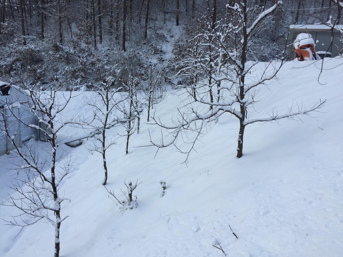 skyxihuan's tweet photo. 下雪了！ http://t.co/fdY0eZBCsx