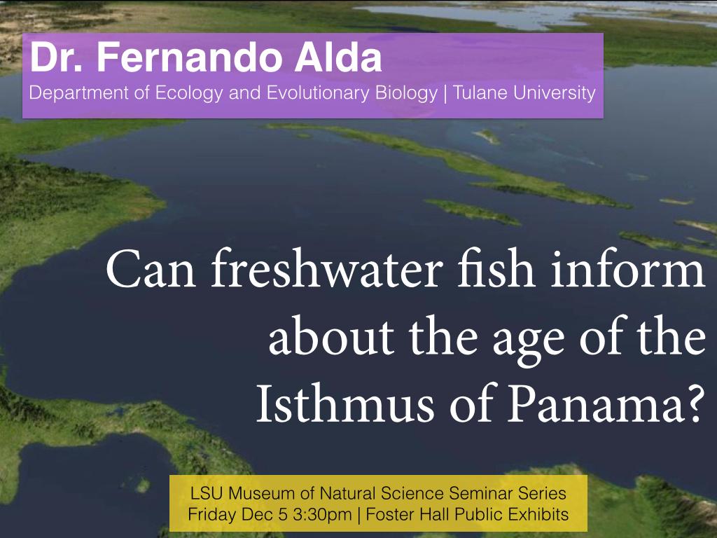 LSUMNS_seminar's tweet photo. This week at @LSU_MNS ,Fernando Alda! http://t.co/o3GfWTLIY7