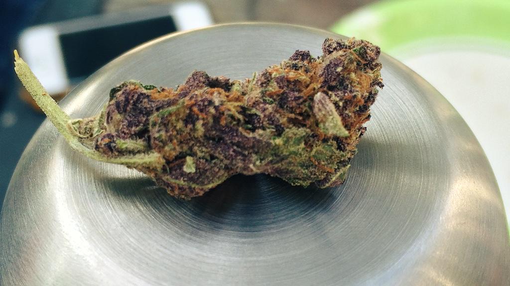 Potographers's tweet image. Purple Urkle! #purp #dank