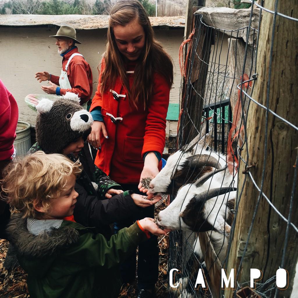 CAMPORENO's tweet photo. Thank you to River School Farm for doing a farm tour for #cookforsuccess. Grace and all the kids had a blast! http://t.co/4V29YIeyjg