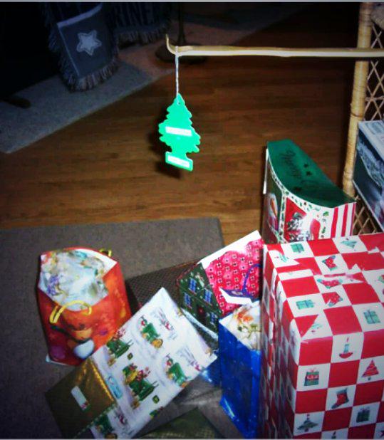 Debbie_Johnston's tweet image. The "I'm broke" Christmas tree - terribly in this season. #christmastree #wheredidmymoneygo