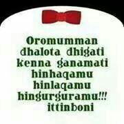 oromiiyaa's tweet photo. http://t.co/rIN0fsk108