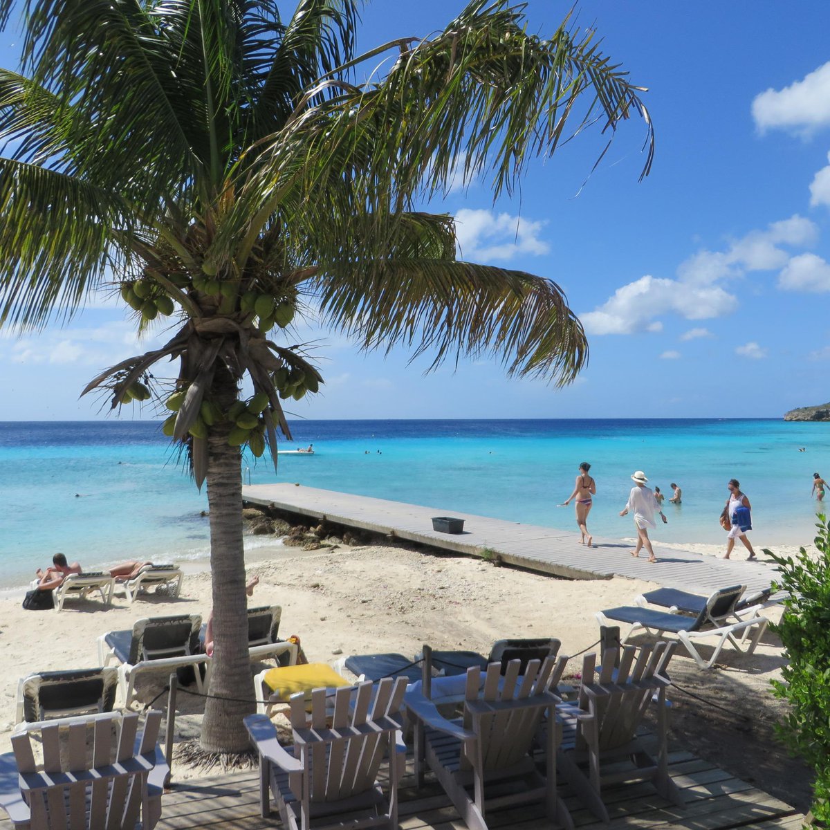 _SusanGrant's tweet photo. Spent a week diving in Curacao. What's your favorite Caribbean island? http://t.co/c84S5zpCm9