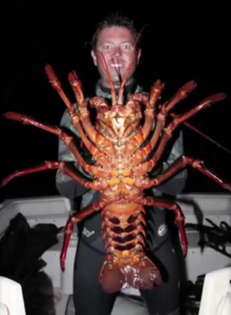 pal_is_tineflag's tweet image. The Lobster God has risen, praise be unto him #LGOD sploid.gizmodo.com/biologist-catc…