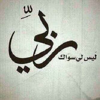 f22995 tweet picture