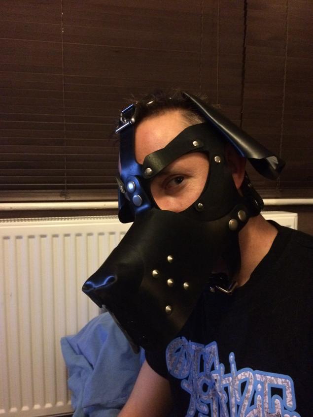 JasonMoonXXX's tweet photo. @WRTDBUK the pup play begins! http://t.co/Z6vMR9f7yr