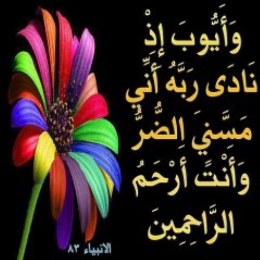 Ranimkhattab's tweet photo. http://t.co/8SzgeZqNau