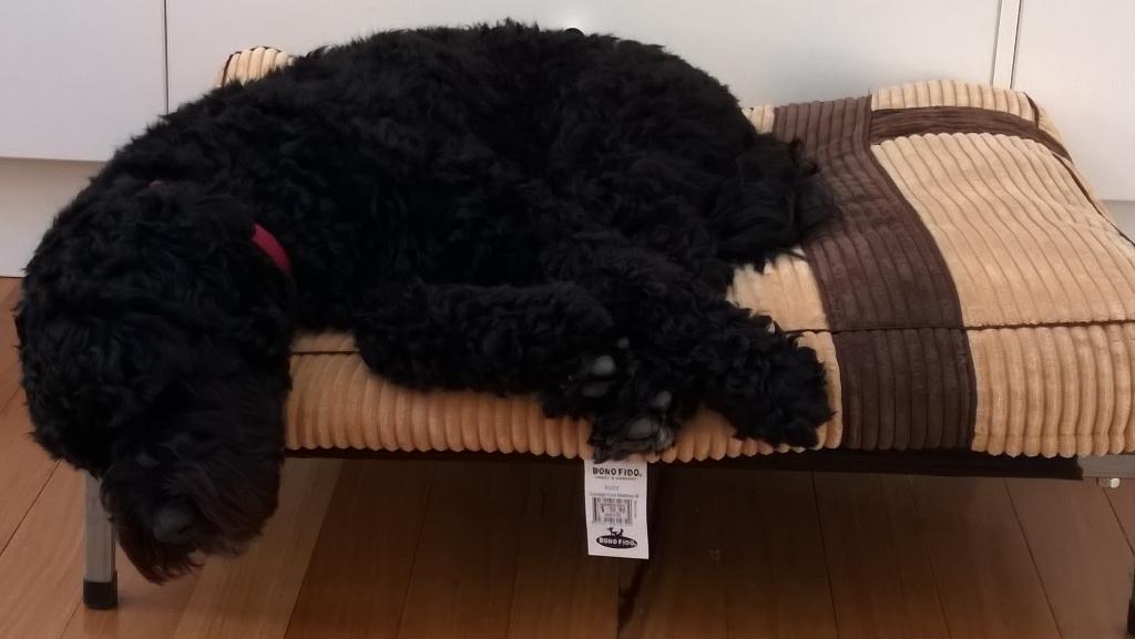 Permalien de l'image intégrée