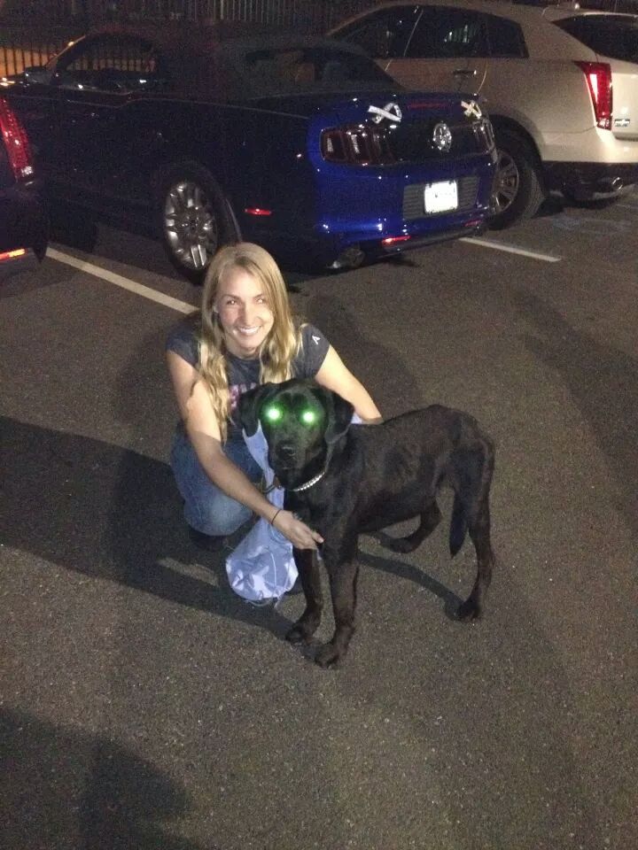 Louie is home safe &amp; sound #teamlouie  #bringlouiehome #sharingworks #socialmedia