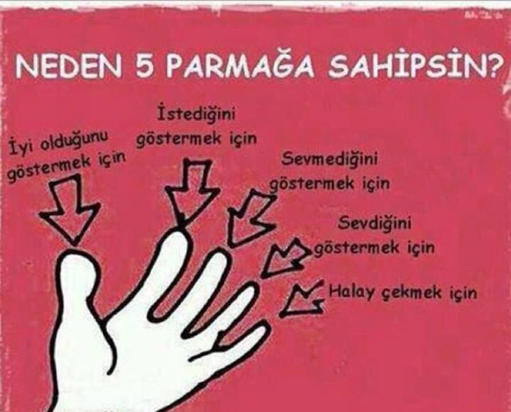 uskudargirisim's tweet photo. Neden 5 parmağa sahipsin ? http://t.co/l7zvp4InlJ