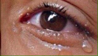 CaptionedPics's tweet image. High school starter pack