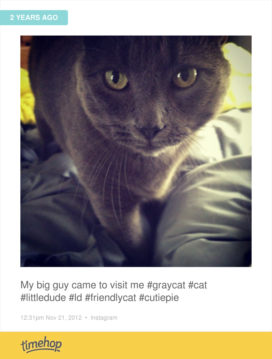 glamcandy2's tweet photo. Exactly 2 years ago today! (via @timehop) http://t.co/hdEGparsPA http://t.co/QI0f9nAeh9