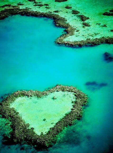 世界の感動する景色 ハートの形のサンゴ礁 オーストラリア T Co Maay8ri22l 見たい景色