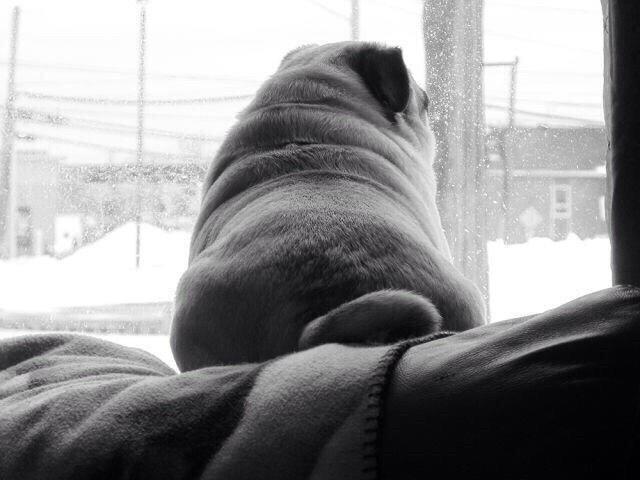 PennyTheGOAT's tweet image. When your girl is mad at you but you ask if she's hungry..