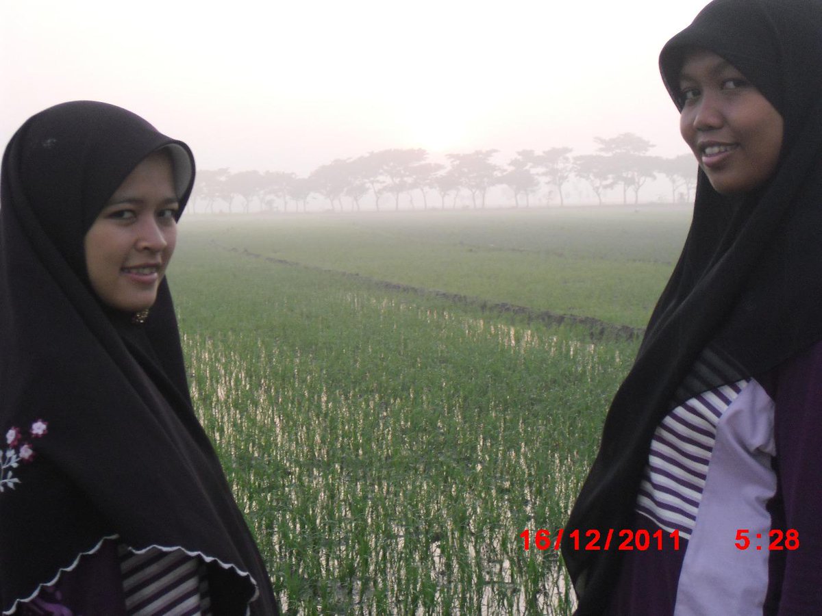 qibthie's tweet photo. @ERselfie2014
fotoku dengan lingkungan sawahku yg menemani pagiku selalu http://t.co/d6nUWnrsru