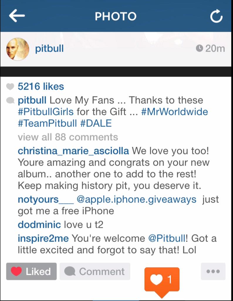 inspire2me's tweet photo. I'm on a #PitbullCloud9!⛅️TY @pitbull 4 posting our pic on @instagram @Sandrafilex!TY @OnAThousand 4 taking our pic!💋 http://t.co/LkONc9rWir