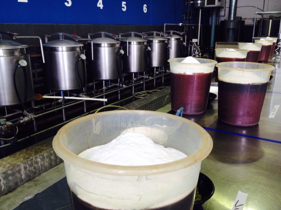 kimhonan's tweet photo. Yeast rising at @pickledpigbrewe a family owned eco micro brewery in the Tweed. #beer #craftbeer #solar http://t.co/cw1VycFNr0