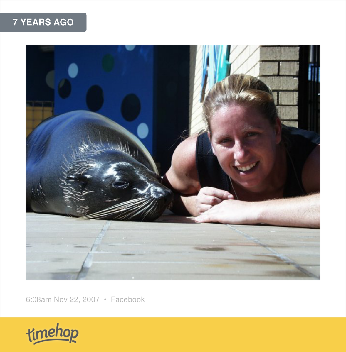 HayleyTennant's tweet photo. Sweet Weasel...Old Sea World Style! http://t.co/cvzGeo2QbE http://t.co/MxZkDAz65y