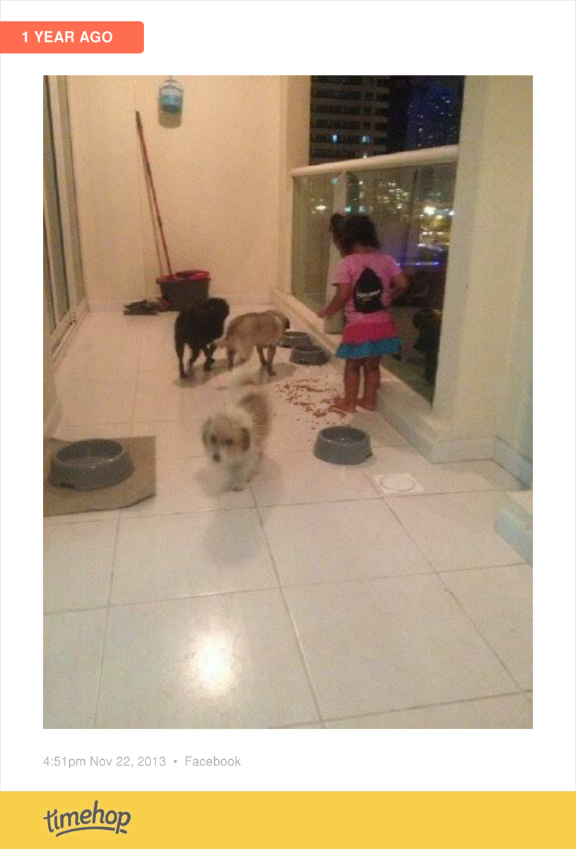 HayleyTennant's tweet photo. Miss these pooches.... http://t.co/CfuUwNds0P http://t.co/6wVu4VOopc