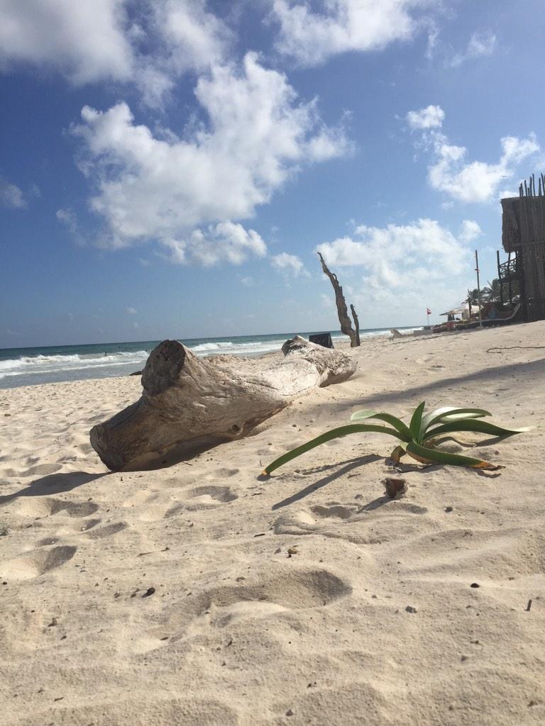 Playa de Tulum@ paraíso Mexicano
