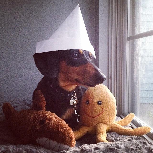 BarkPost's tweet photo. "I miss summer." #OnABoat #WasBoss
via http://t.co/X8LYqXoPkG http://t.co/Ml38MyYa2V