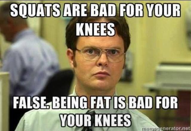 FitMotivator_'s tweet photo. Very true... #squats #fitfam #fitspo http://t.co/rSwYiVgvFs