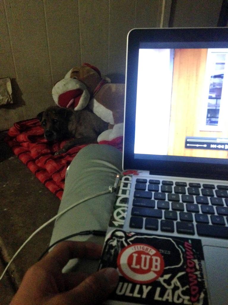 nicrockss's tweet photo. #SOA7 x scrappy http://t.co/WF3ptJRtv1