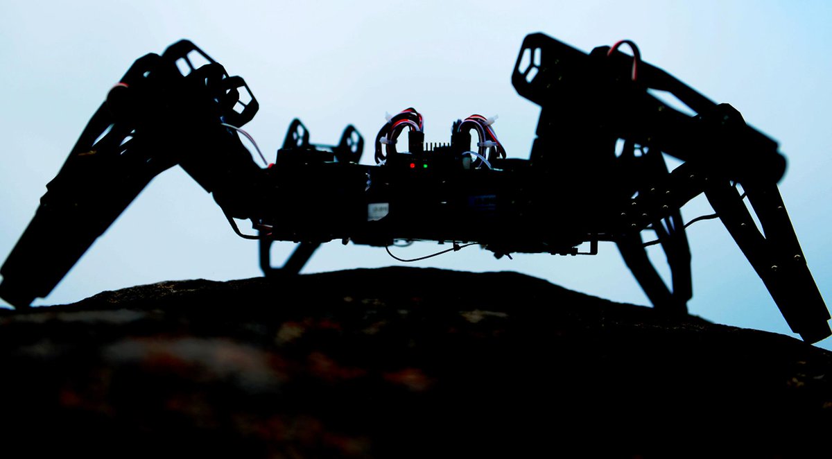 robofac tweet picture