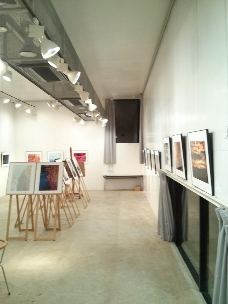 wakayamacamera's tweet photo. ワカヤマカメラ写真展なかなかの好評です！
ただいまの時間、空いておりますので、お越しくださいませ！
#ワカヤマカメラ 
#ワカメセン2014 
#写真展 http://t.co/5JVqZr2Zmu