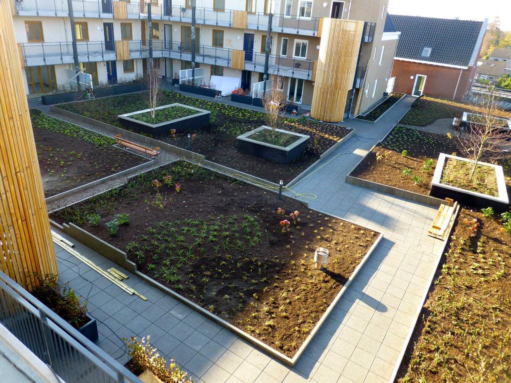 levenopdaken's tweet photo. Project #centrumplan #Kerkdriel: het #gebruiksdak op de parkeergarage is #groen ingericht @VanderTolbv http://t.co/UA2aHnL8gg