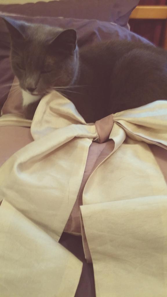 poppypurrington's tweet photo. I found another princess pillow! http://t.co/Xgfp8iayw8