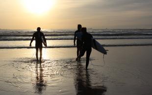 Love - Friends - Surf