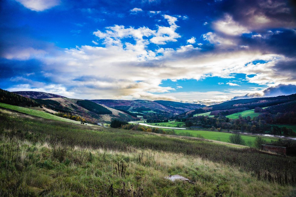 Windlestraw Lodge tweet media