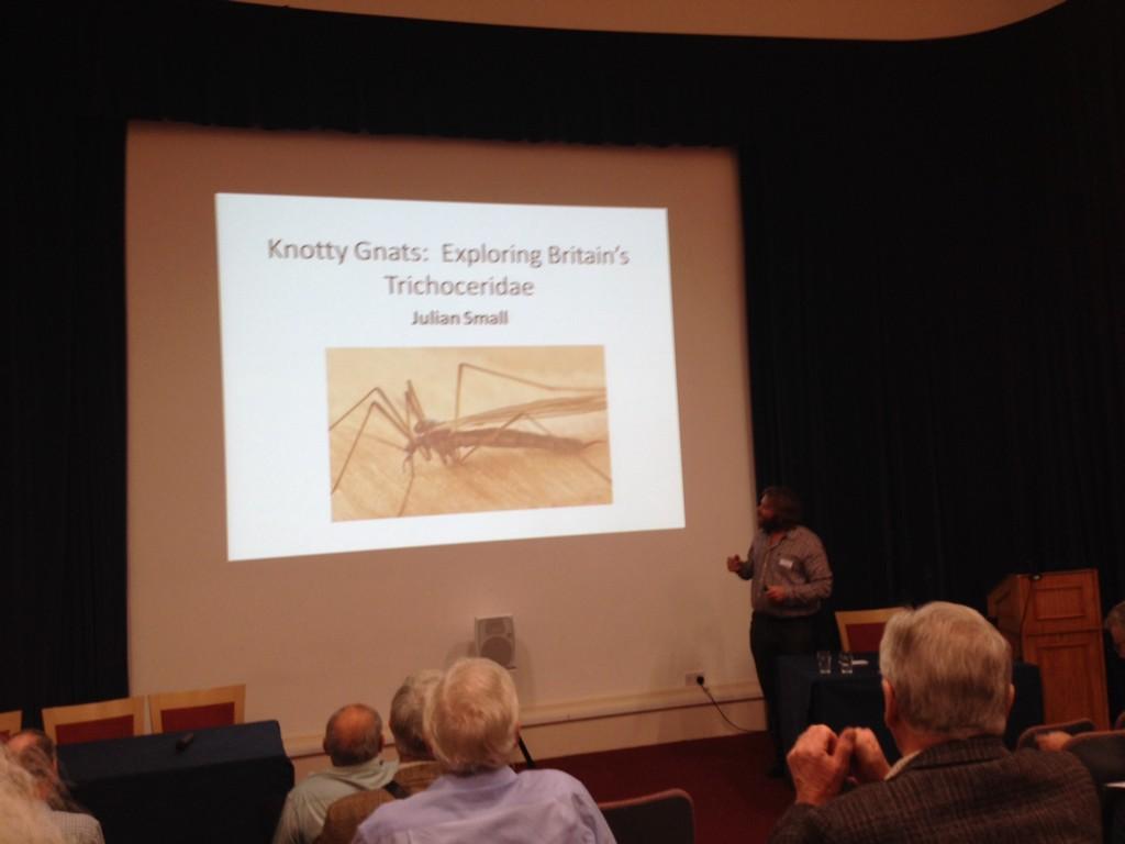 DipteristsForum's tweet photo. Julian Small - on winter gnats in the UK - an underworked group #DF2014 http://t.co/s6xzBDBJHs