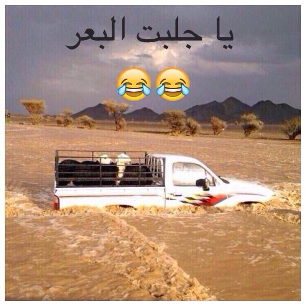 AssRidc's tweet image. 